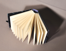 Accordion Book with Crisscross Cover